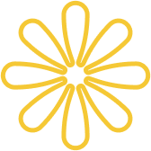 Expert Solutions for Corporate  Financial Success. - C7娱乐APP