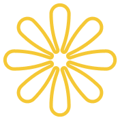 Services Carousel - C7娱乐APP
